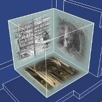 Dual Transform cover.png