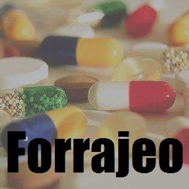 Forrajeo.jpg