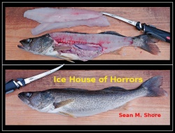 Ice House of Horrors cover.jpg