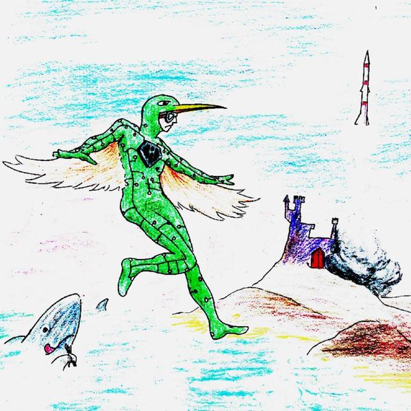 File:Flight of the Hummingbird.jpg