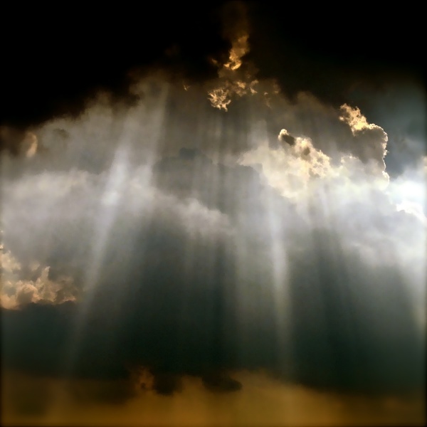 File:Looking to the Sky cover.jpg