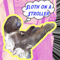 Thumbnail for version as of 13:36, 16 June 2012