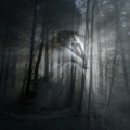 Thumbnail for version as of 19:44, 19 February 2010
